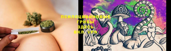 стафф Аша