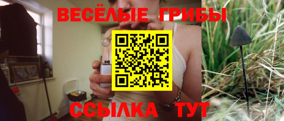 Галлюциногенные грибы Psilocybe  Кушва 