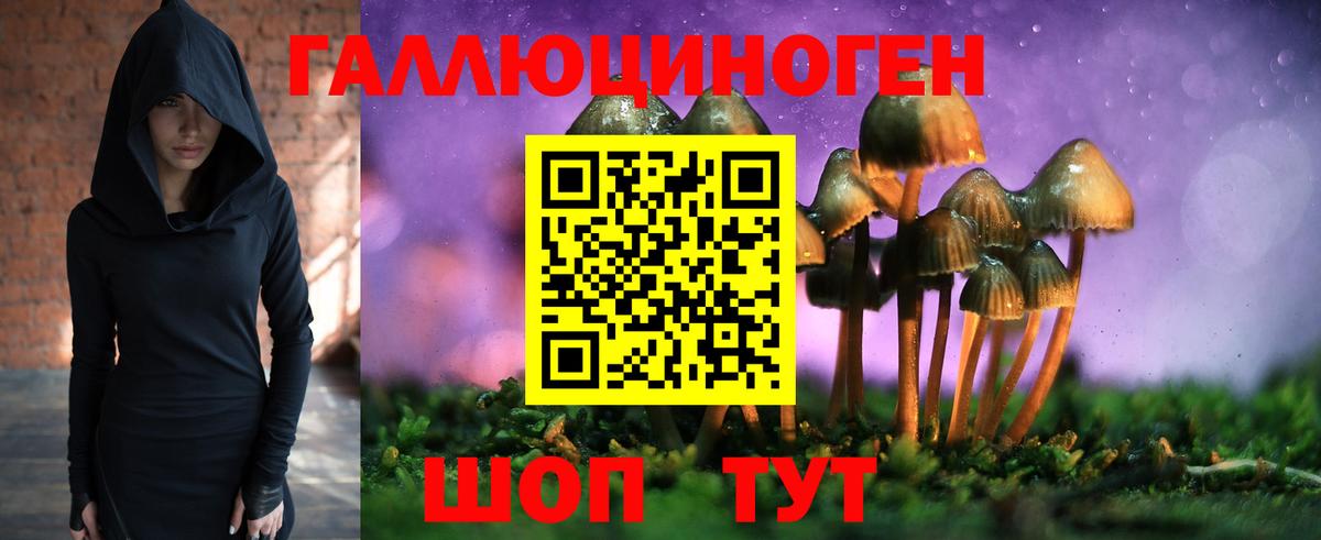 Псилоцибиновые грибы мицелий Кушва