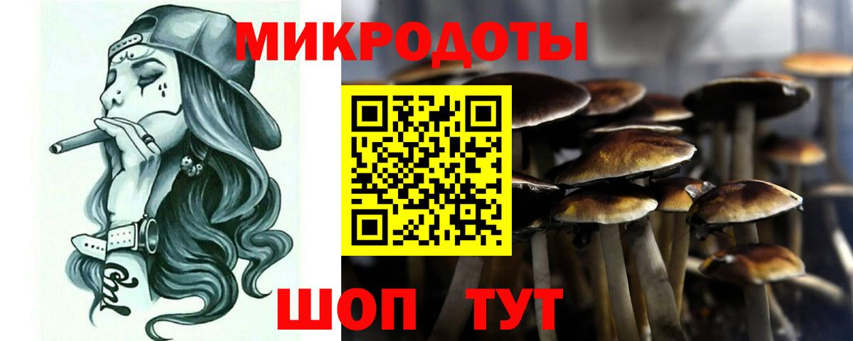 Галлюциногенные грибы Psilocybe  Вход с VPN  дарнет шоп  Кушва  Галлюциногенные грибы GOLDEN TEACHER 